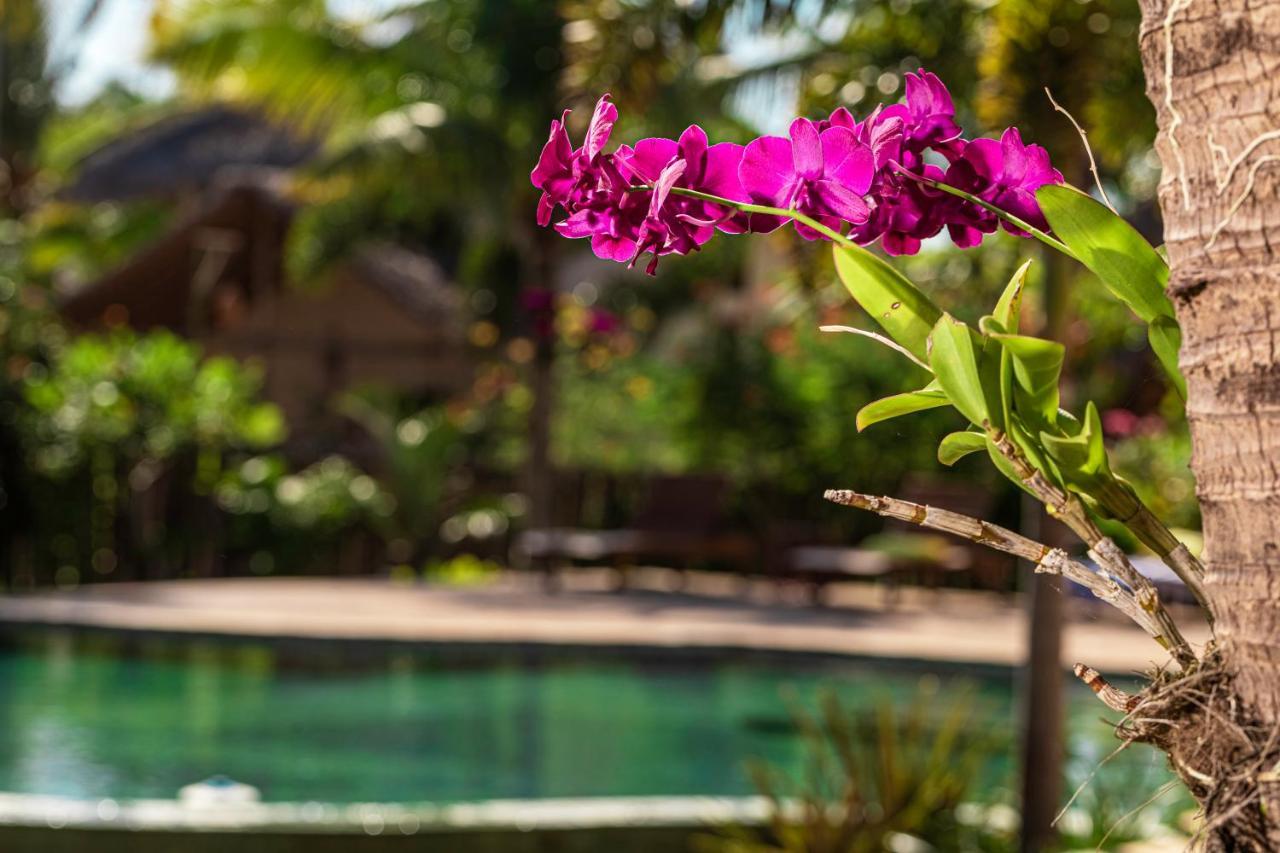 Ventura Barra Grande Hotel Barra Grande  Luaran gambar